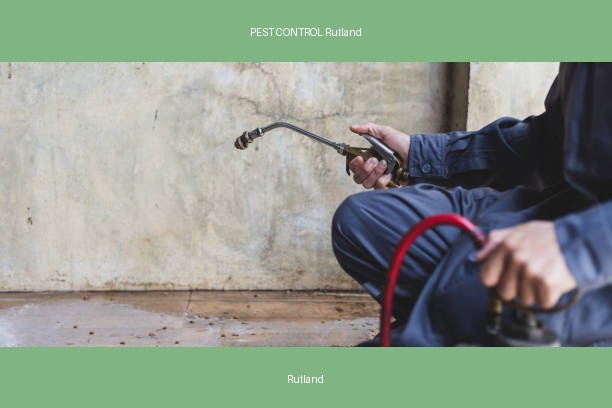 PEST CONTROL Rutland